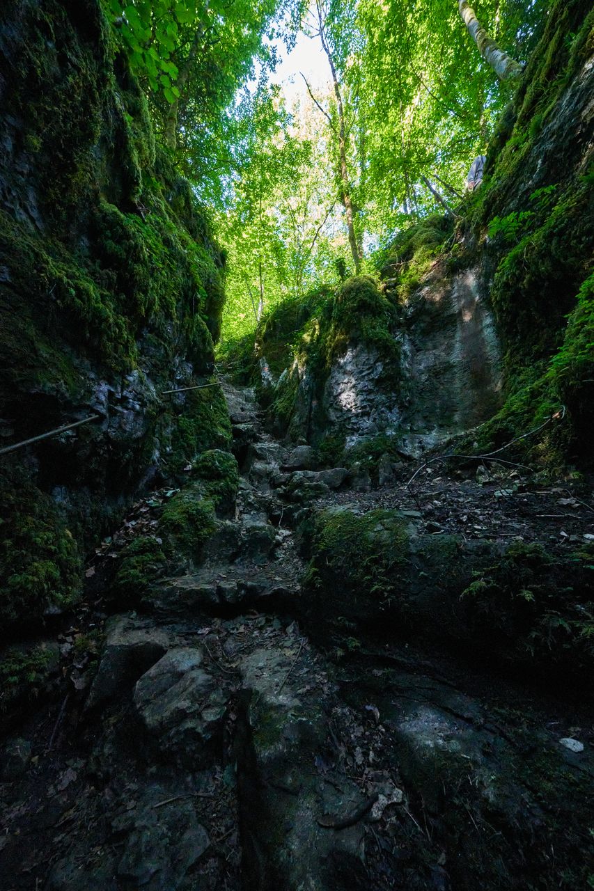 Sentier karstique des Malrochers à Besain, près de Poligny 05